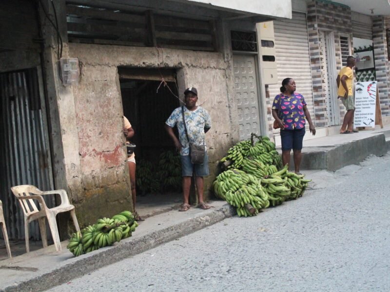 Bodega Donde Pacho