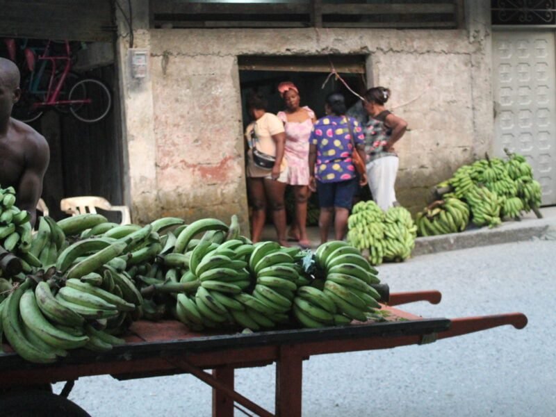 Bodega Donde Pacho